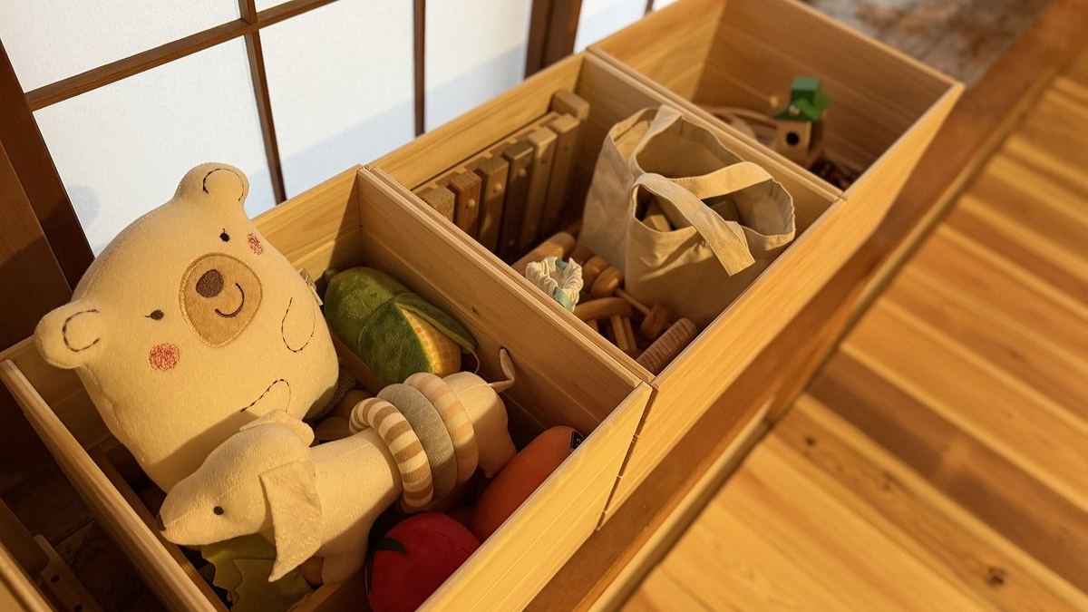 Wooden toys and soft toys